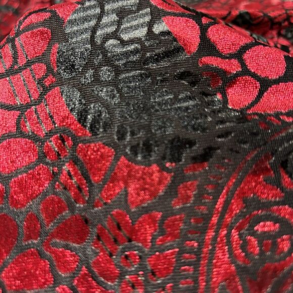 Burnout Top Red Velvet Black Lace Semi Sheer Whimsigoth Witchy - Picture 4 of 9